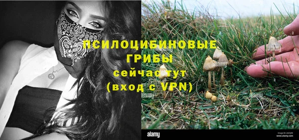 Альфа ПВП Армянск