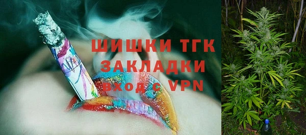 Альфа ПВП Аркадак