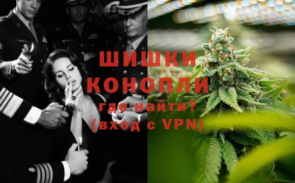 Альфа ПВП Аркадак