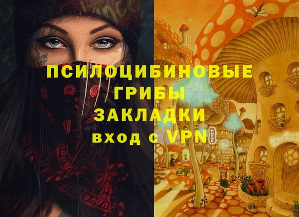 Альфа ПВП Армянск
