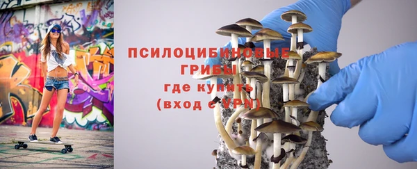 Альфа ПВП Аркадак