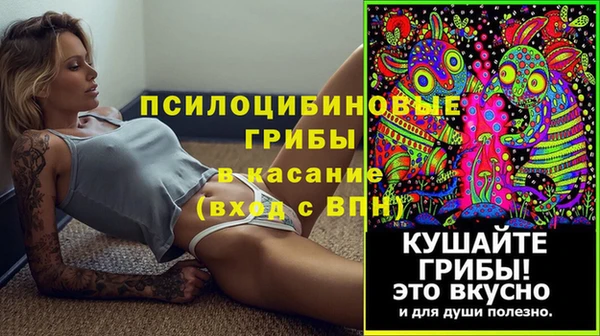 Альфа ПВП Аркадак