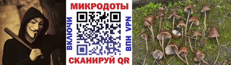 Галлюциногенные грибы GOLDEN TEACHER  Купить где  Зубцов 